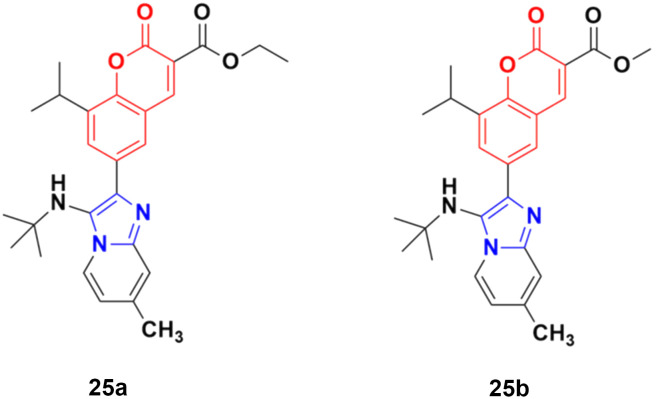 Fig. 20