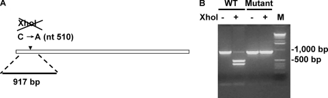 FIG. 5.