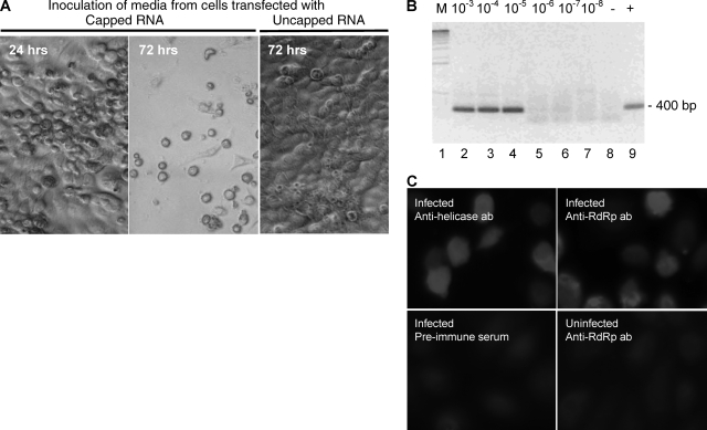 FIG. 3.