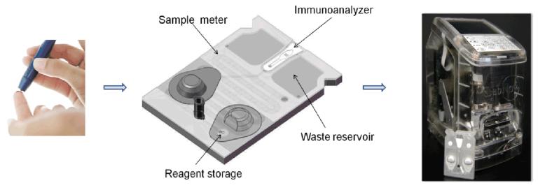 Fig. 1