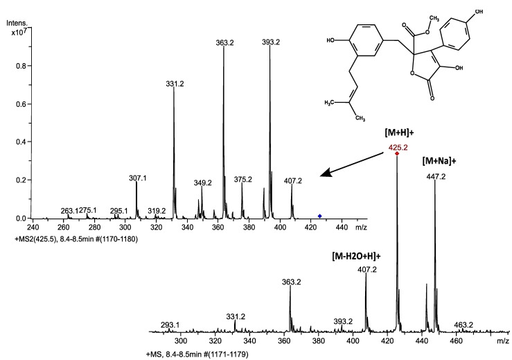 Figure 2