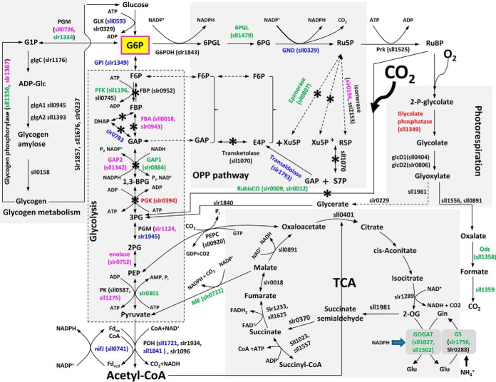 Fig. 4.