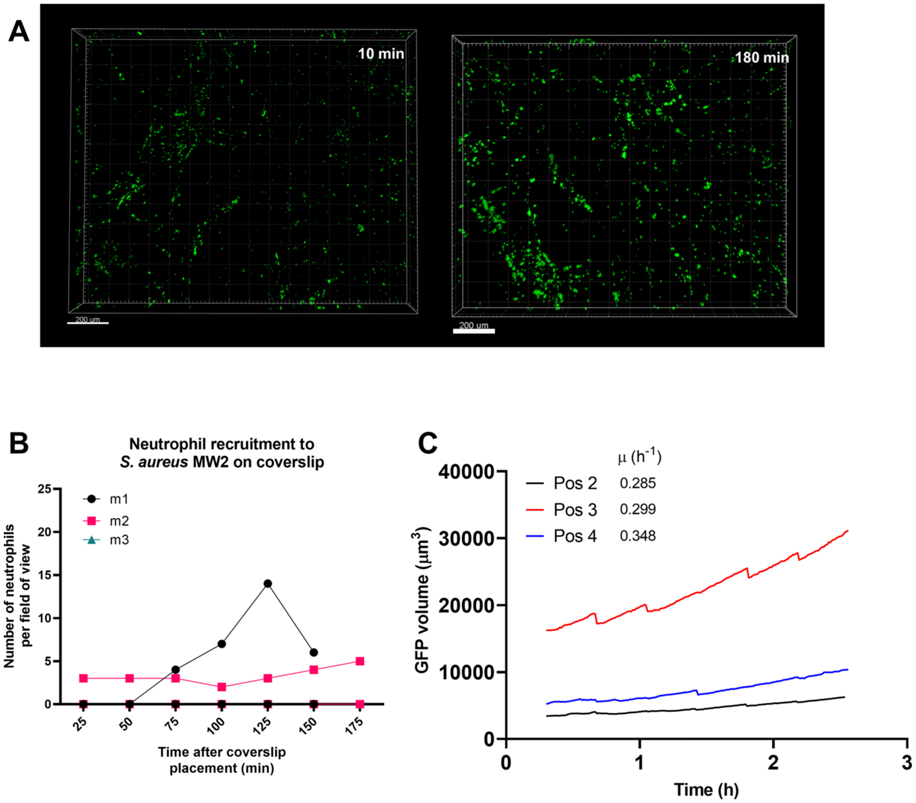 Figure 3: