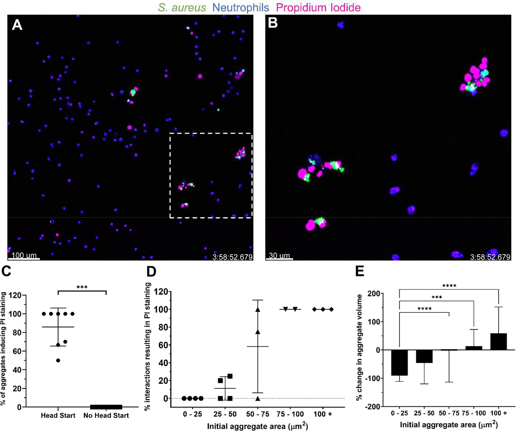 Figure 4: