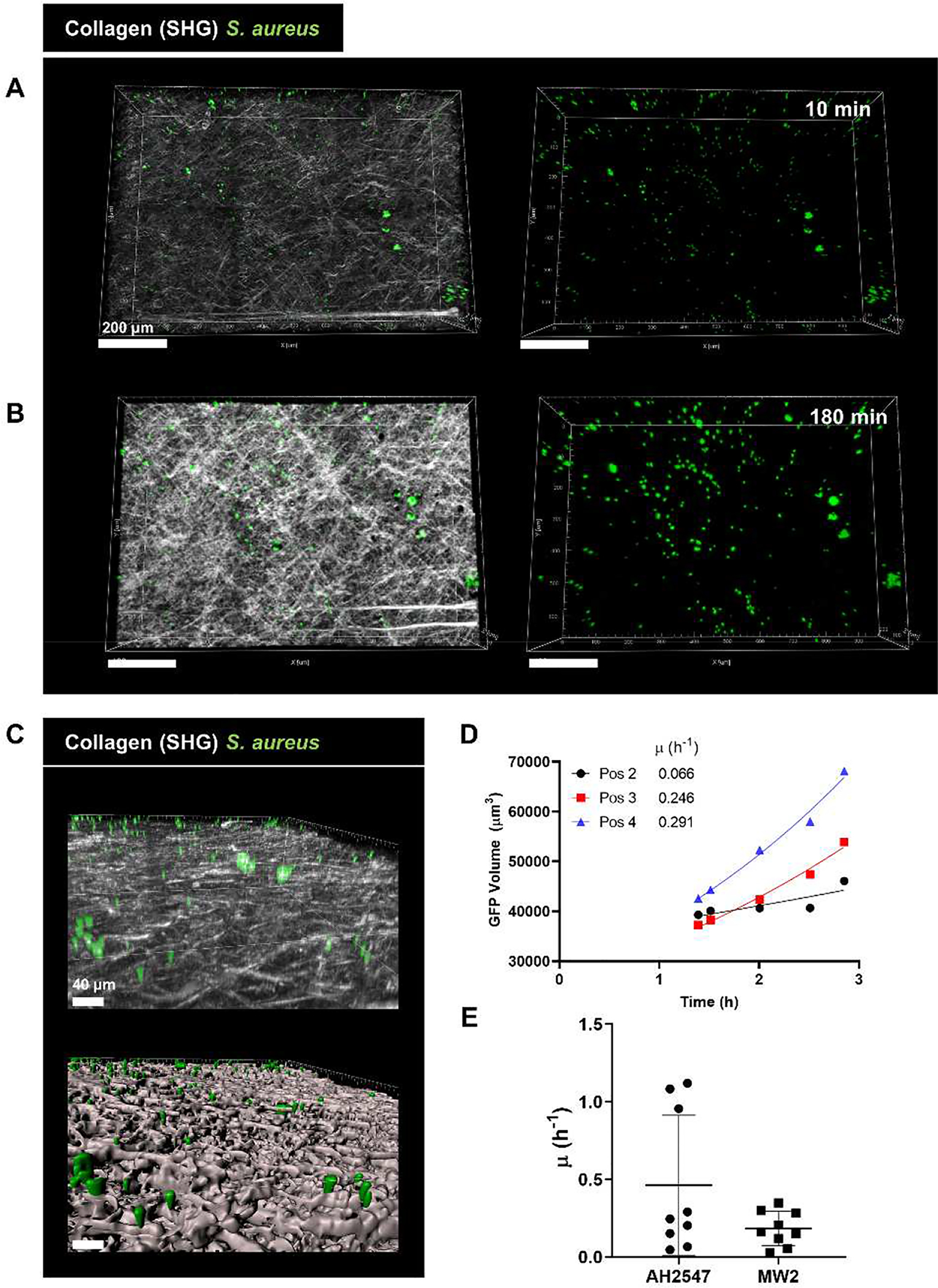 Figure 6: