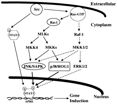 FIG. 8