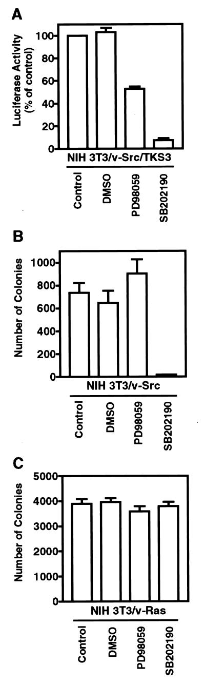 FIG. 7