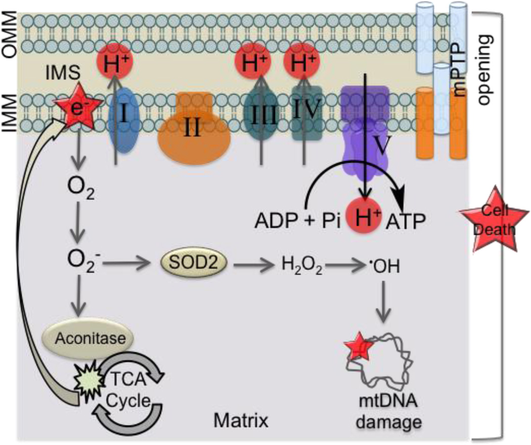 Figure 14