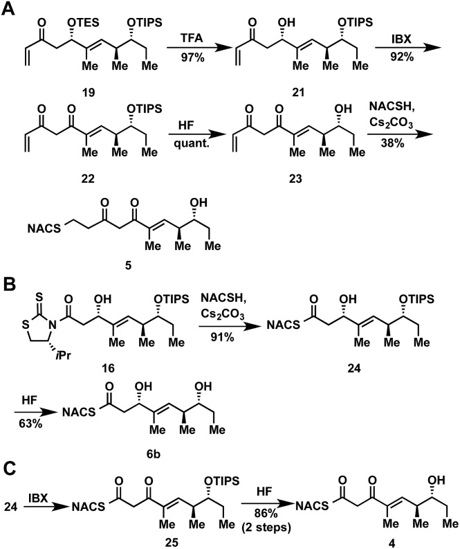 Scheme 2