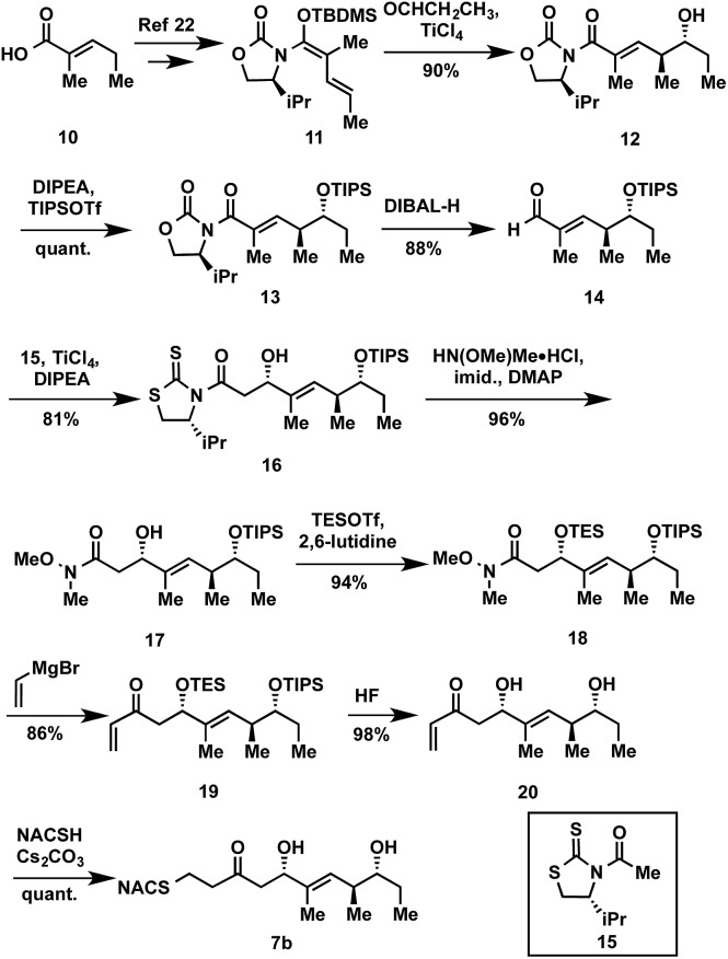 Scheme 1