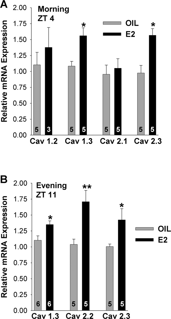 Figure 9