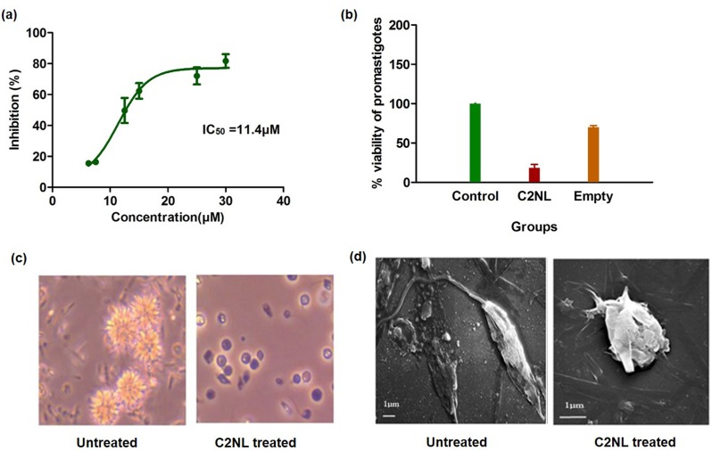 Fig 4