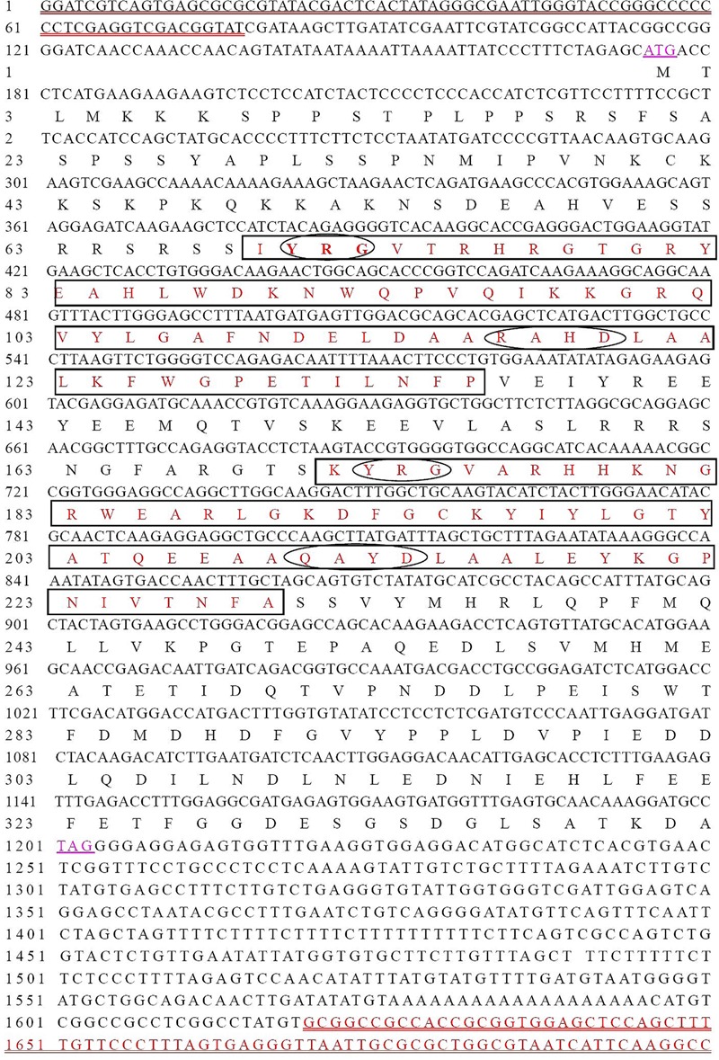 FIGURE 1