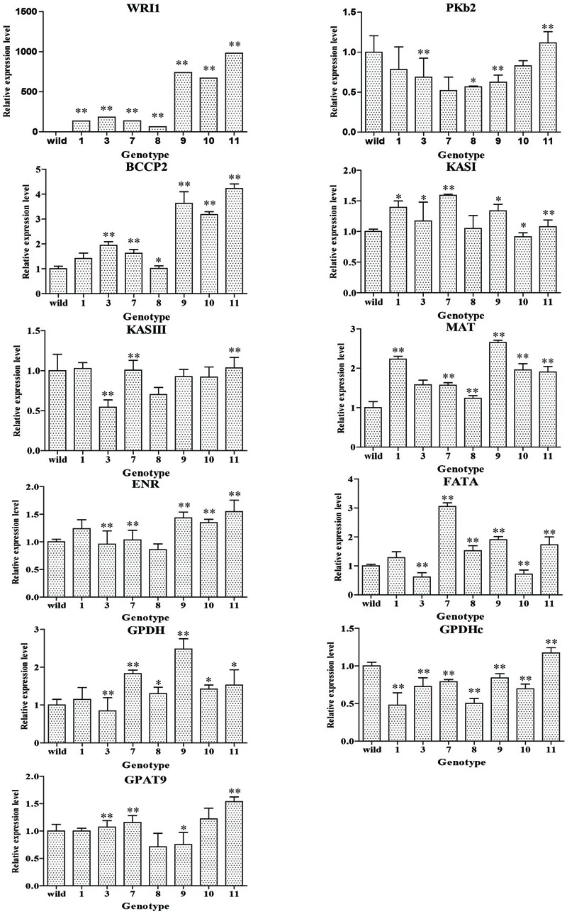 FIGURE 6