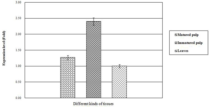 FIGURE 3