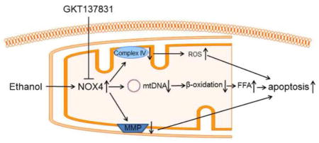 graphic file with name nihms819567u1.jpg