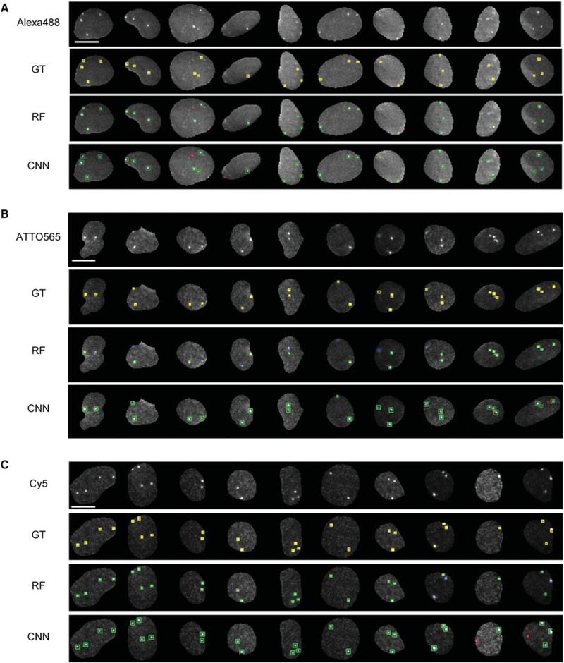 Figure 6.