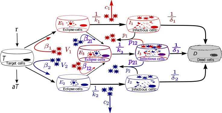 Fig. 1