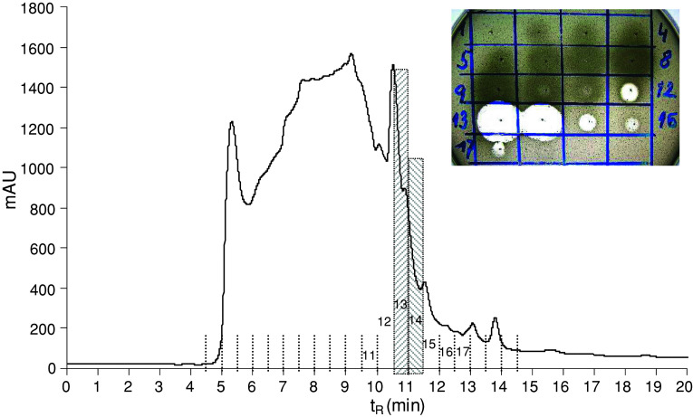 Fig. 1