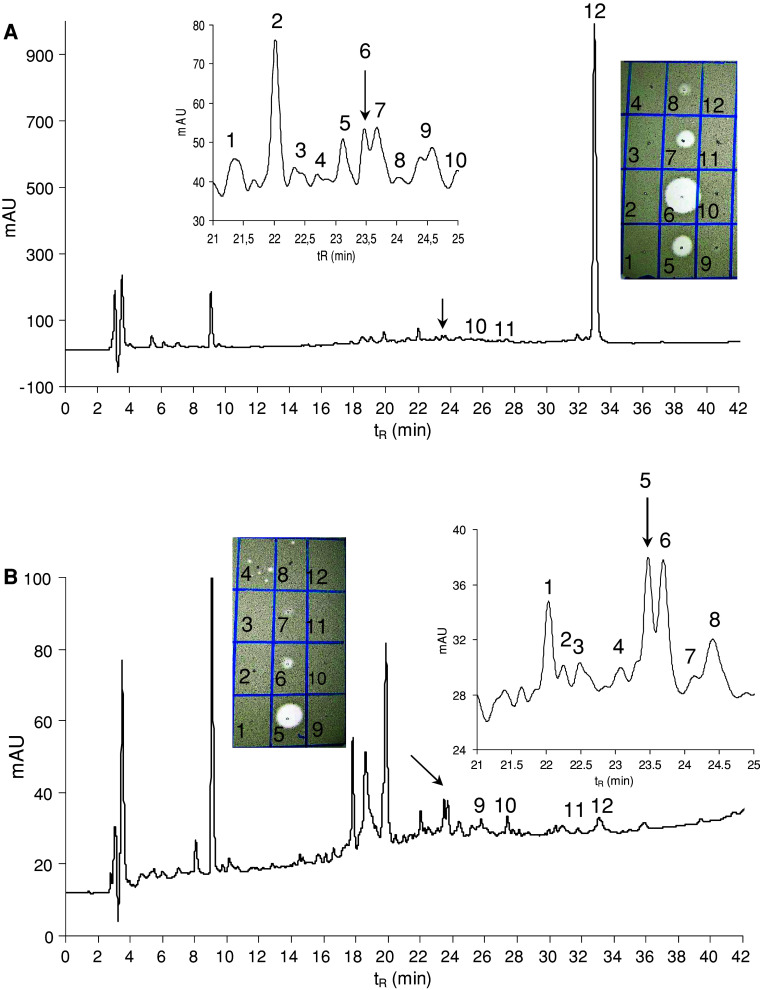 Fig. 2