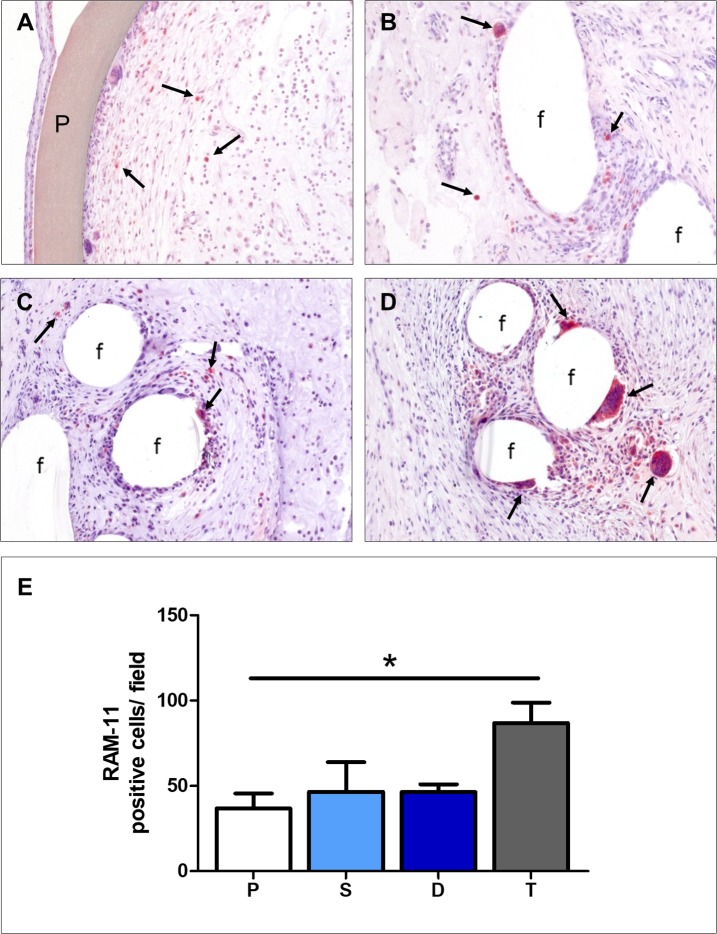 Fig 7