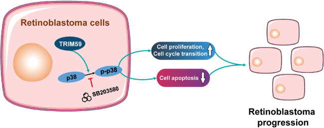 Figure 9.