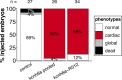 Figure 6—figure supplement 4.