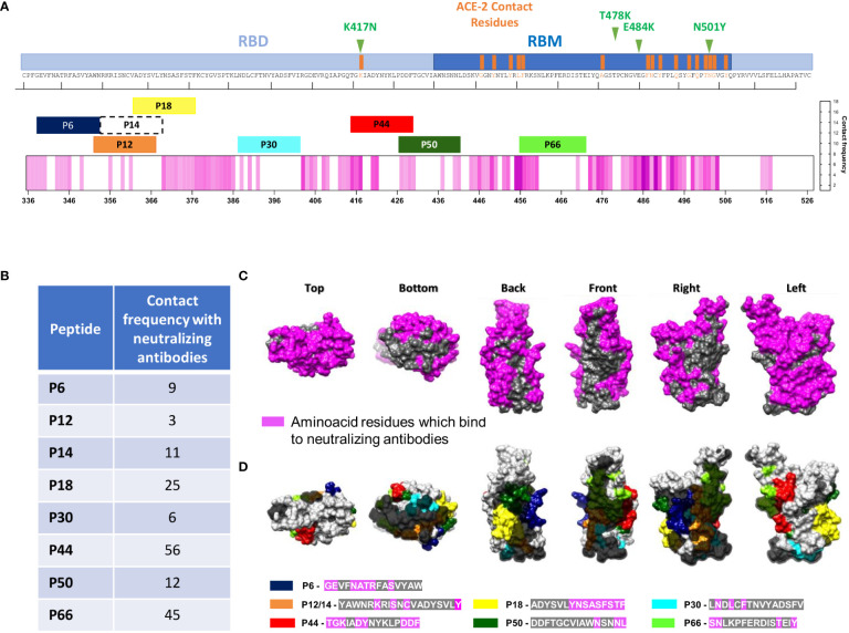 Figure 5