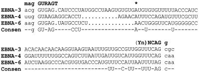 FIG. 9