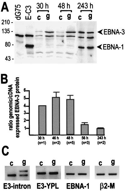 FIG. 8