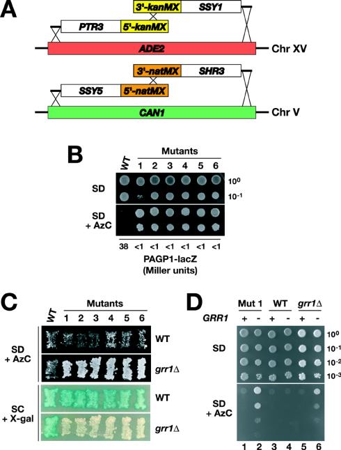 FIG. 3.