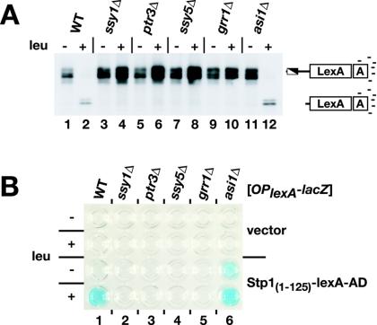 FIG. 6.