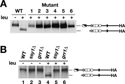 FIG. 4.