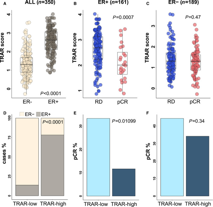 The TRAR gene classifier to predict response to neoadjuvant therapy in ...