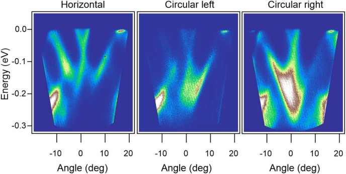 Extended Data Fig. 6