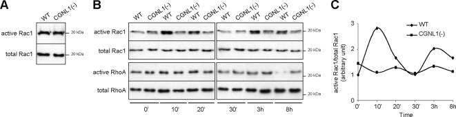 Figure 5.