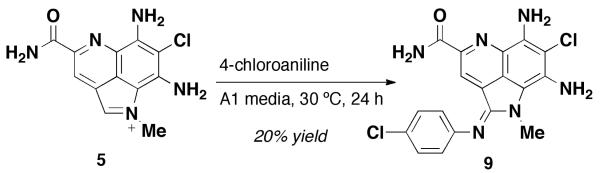 Scheme 2