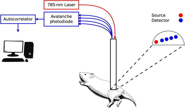 Fig. 1