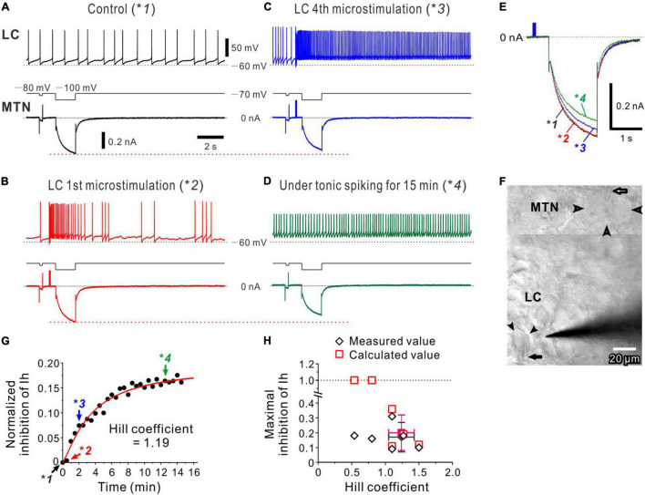 FIGURE 4