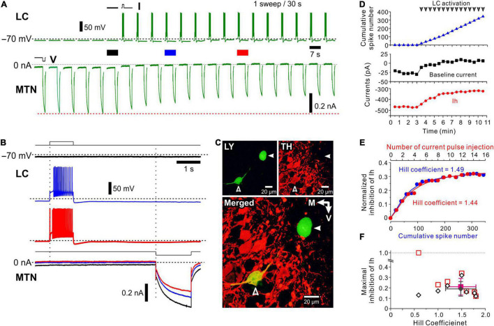 FIGURE 2