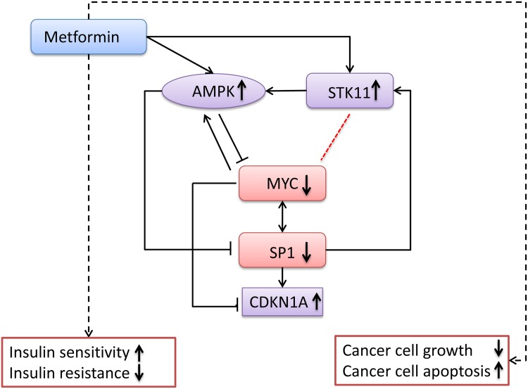 Fig 7