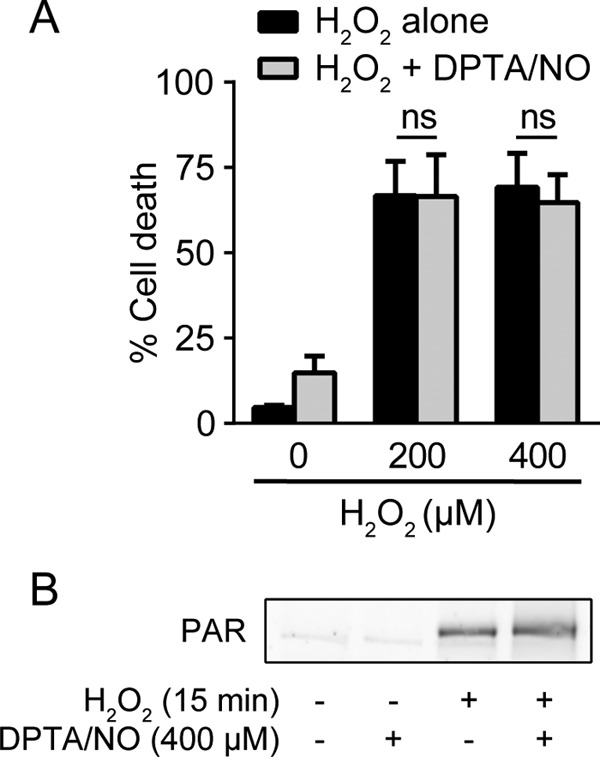 FIG 7