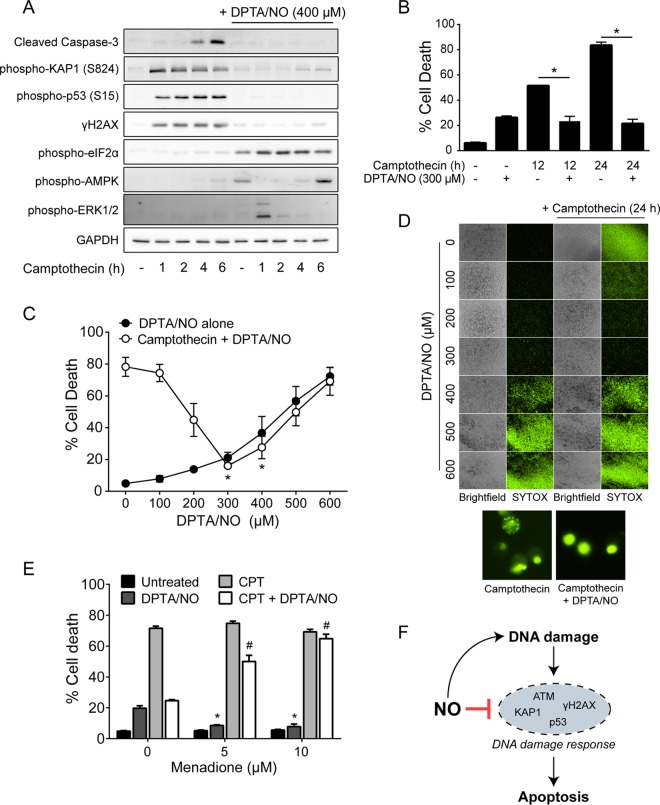 FIG 6