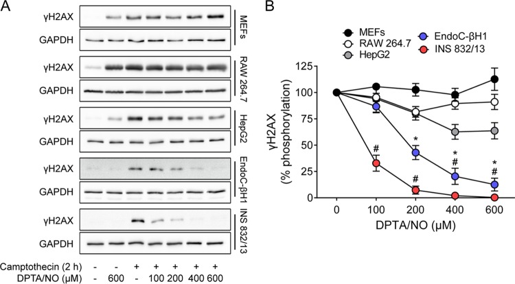 FIG 8