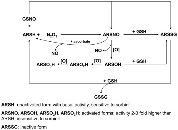 Scheme I