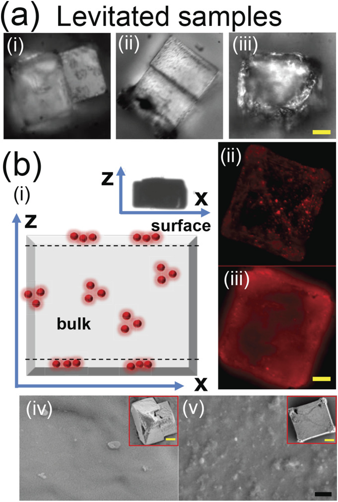 FIG. 3.