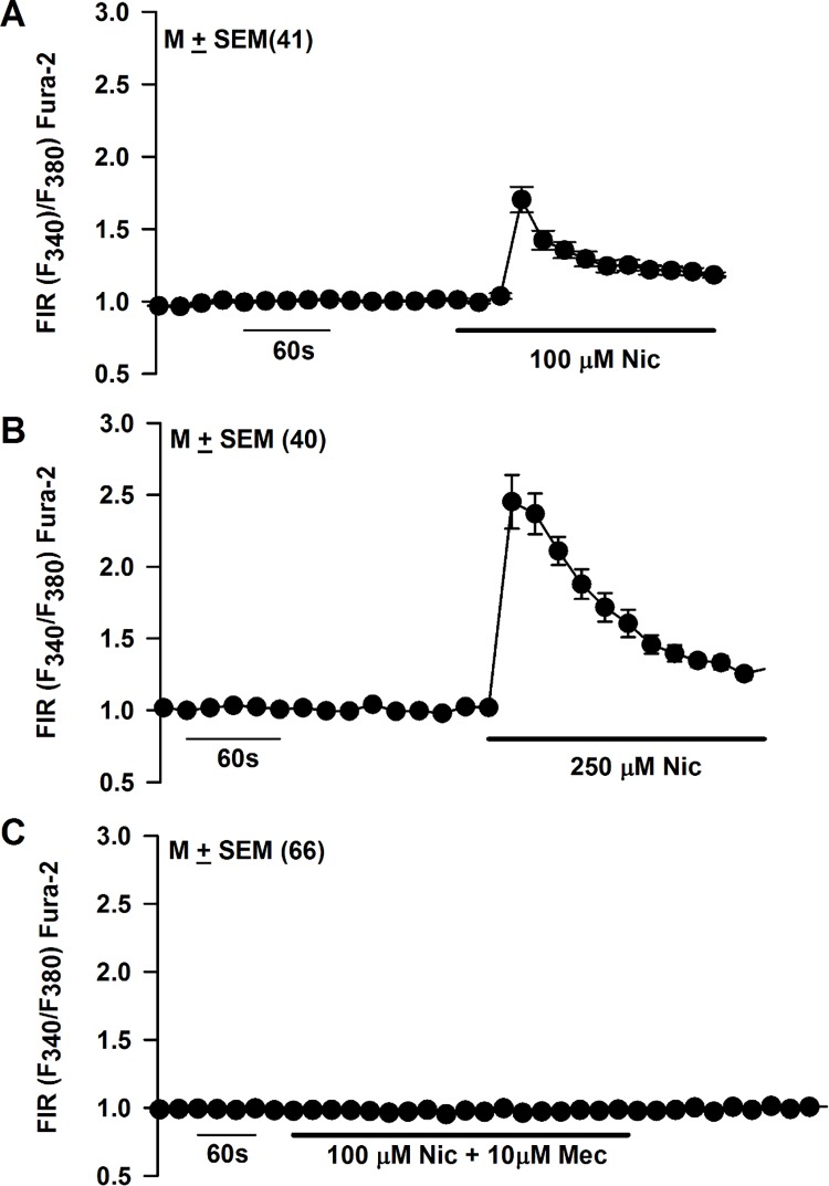 Fig 8