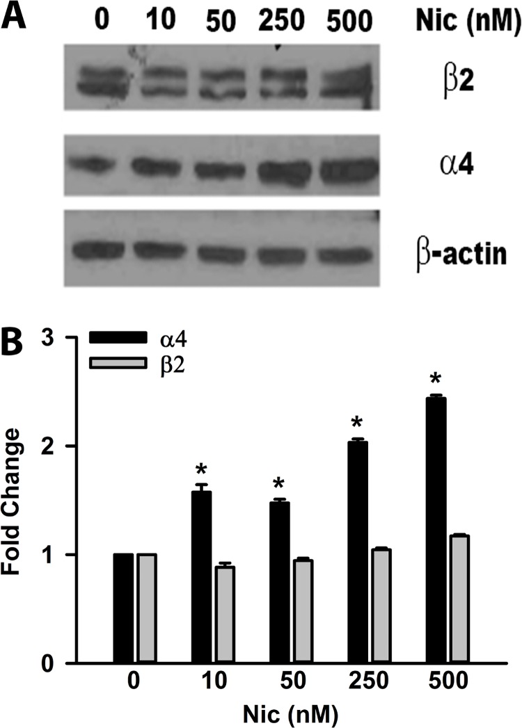 Fig 7