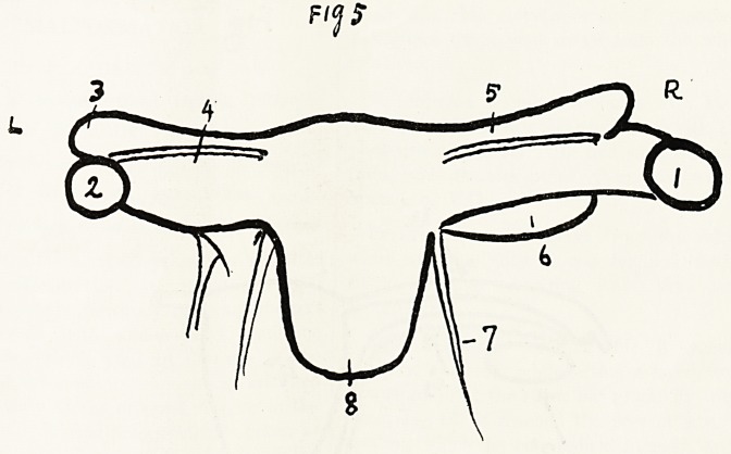 Fig 5