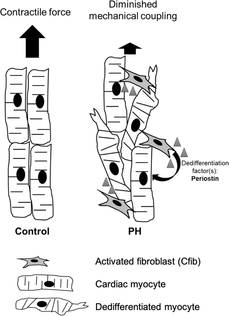 Fig 8